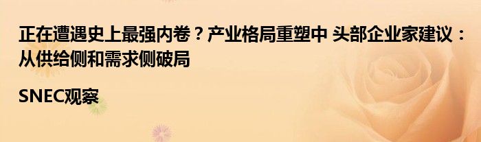 正在遭遇史上最强内卷？产业格局重塑中 头部企业家建议：从供给侧和需求侧破局|SNEC观察