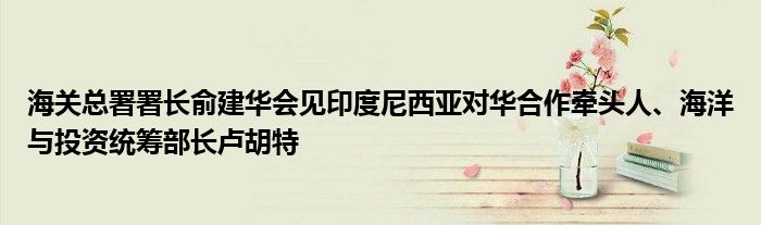 海关总署署长俞建华会见印度尼西亚对华合作牵头人、海洋与投资统筹部长卢胡特