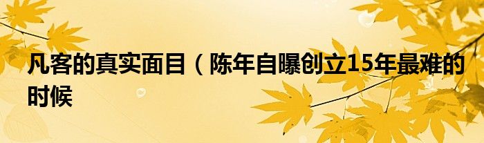 凡客的真实面目（陈年自曝创立15年最难的时候