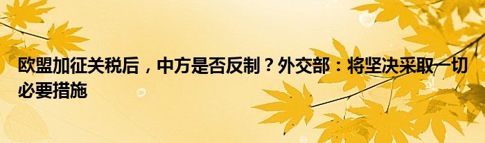 欧盟加征关税后，中方是否反制？外交部：将坚决采取一切必要措施