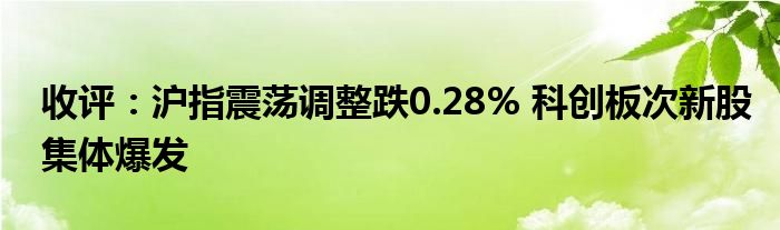 收评：沪指震荡调整跌0.28% 科创板次新股集体爆发