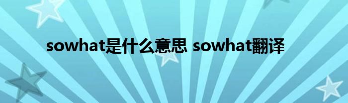 sowhat是什么意思 sowhat翻译