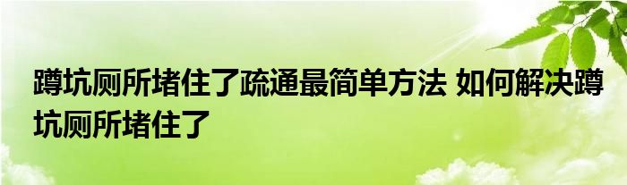 蹲坑厕所堵住了疏通最简单方法 如何解决蹲坑厕所堵住了