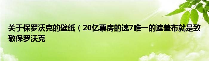 关于保罗沃克的壁纸（20亿票房的速7唯一的遮羞布就是致敬保罗沃克