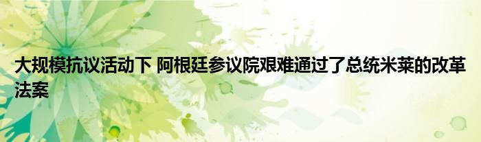 大规模抗议活动下 阿根廷参议院艰难通过了总统米莱的改革法案