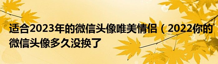 适合2023年的微信头像唯美情侣（2022你的微信头像多久没换了