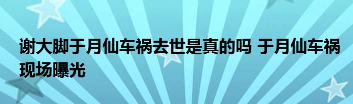 谢大脚于月仙车祸去世是真的吗 于月仙车祸现场曝光