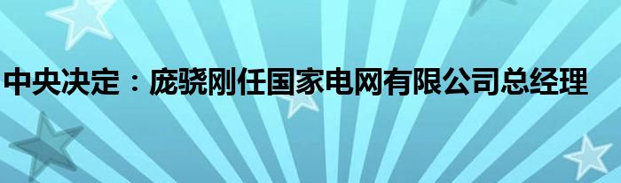 中央决定：庞骁刚任国家电网有限公司总经理