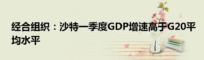 经合组织：沙特一季度GDP增速高于G20平均水平