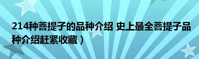 214种菩提子的品种介绍 史上最全菩提子品种介绍赶紧收藏）