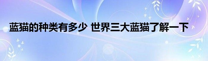 蓝猫的种类有多少 世界三大蓝猫了解一下