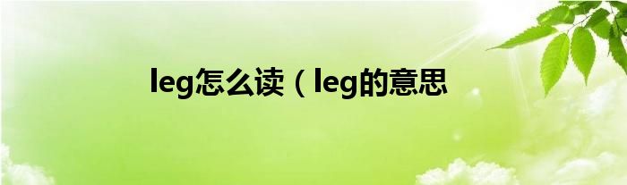 leg怎么读（leg的意思