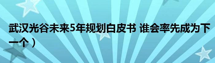 武汉光谷未来5年规划白皮书 谁会率先成为下一个）