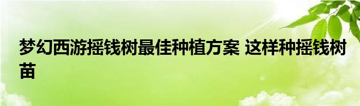 梦幻西游摇钱树最佳种植方案 这样种摇钱树苗