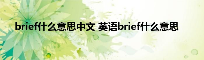 brief什么意思中文 英语brief什么意思