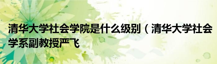 清华大学社会学院是什么级别（清华大学社会学系副教授严飞