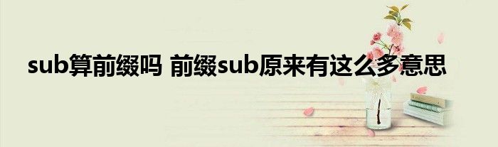 sub算前缀吗 前缀sub原来有这么多意思