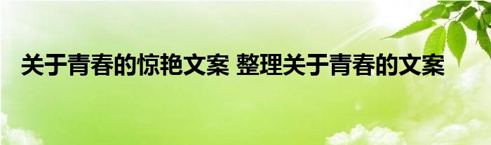 关于青春的惊艳文案 整理关于青春的文案