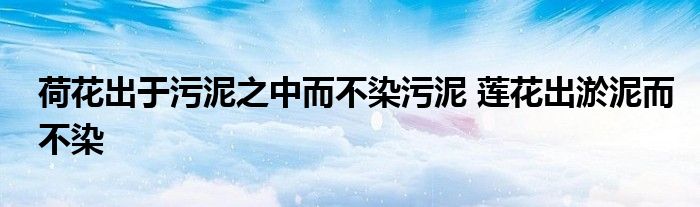 荷花出于污泥之中而不染污泥 莲花出淤泥而不染