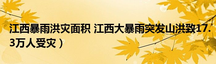 江西暴雨洪灾面积 江西大暴雨突发山洪致17.3万人受灾）