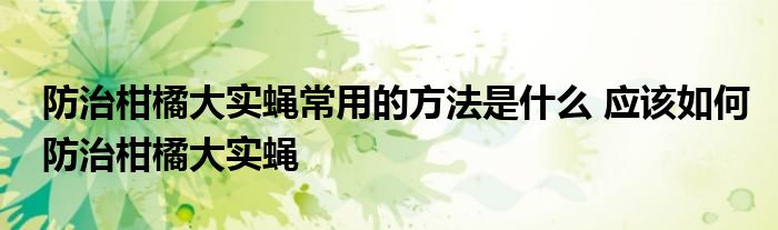 防治柑橘大实蝇常用的方法是什么 应该如何防治柑橘大实蝇