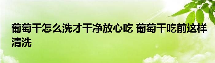 葡萄干怎么洗才干净放心吃 葡萄干吃前这样清洗