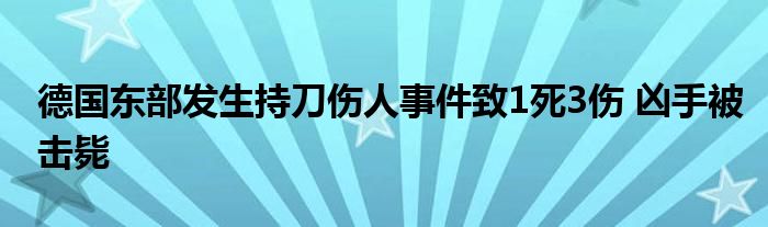 德国东部发生持刀伤人事件致1死3伤 凶手被击毙