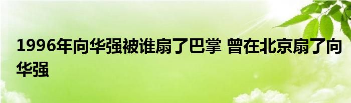 1996年向华强被谁扇了巴掌 曾在北京扇了向华强