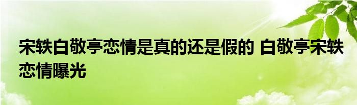 宋轶白敬亭恋情是真的还是假的 白敬亭宋轶恋情曝光