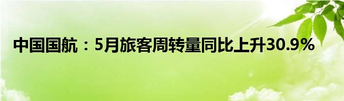 中国国航：5月旅客周转量同比上升30.9%