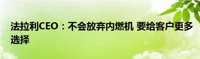 法拉利CEO：不会放弃内燃机 要给客户更多选择