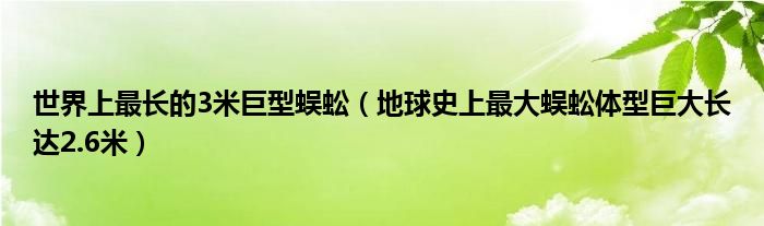 世界上最长的3米巨型蜈蚣（地球史上最大蜈蚣体型巨大长达2.6米）