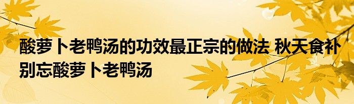 酸萝卜老鸭汤的功效最正宗的做法 秋天食补别忘酸萝卜老鸭汤