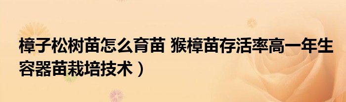 樟子松树苗怎么育苗 猴樟苗存活率高一年生容器苗栽培技术）