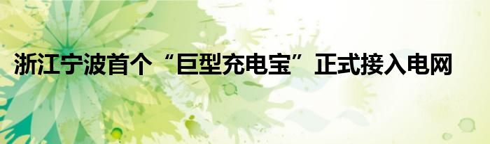 浙江宁波首个“巨型充电宝”正式接入电网