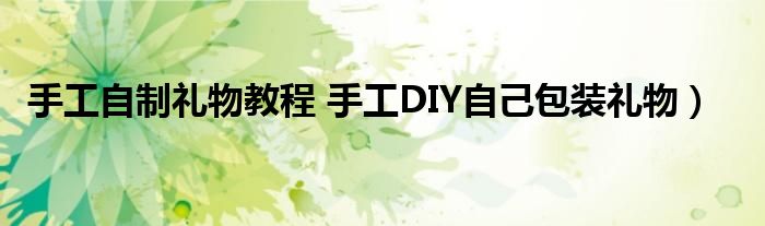 手工自制礼物教程 手工DIY自己包装礼物）