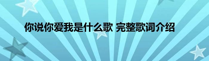 你说你爱我是什么歌 完整歌词介绍