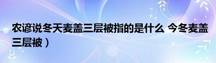 农谚说冬天麦盖三层被指的是什么 今冬麦盖三层被）