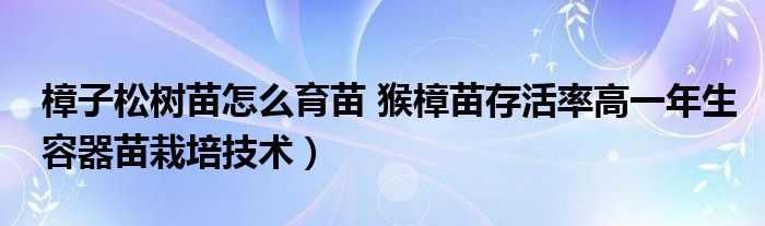 樟子松树苗怎么育苗 猴樟苗存活率高一年生容器苗栽培技术）