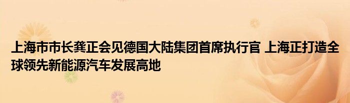 上海市市长龚正会见德国大陆集团首席执行官 上海正打造全球领先新能源汽车发展高地