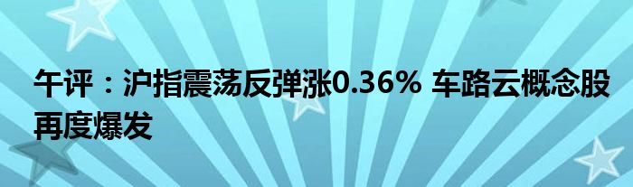 午评：沪指震荡反弹涨0.36% 车路云概念股再度爆发