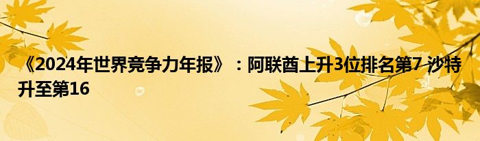 《2024年世界竞争力年报》：阿联酋上升3位排名第7 沙特升至第16