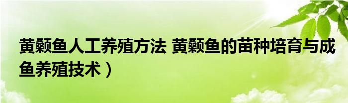 黄颡鱼人工养殖方法 黄颡鱼的苗种培育与成鱼养殖技术）