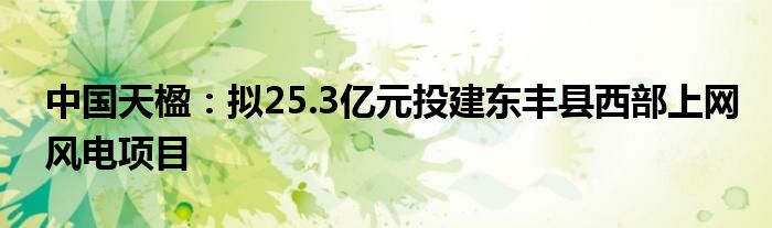 中国天楹：拟25.3亿元投建东丰县西部上网风电项目