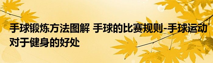 手球锻炼方法图解 手球的比赛规则-手球运动对于健身的好处