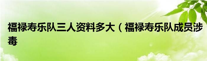 福禄寿乐队三人资料多大（福禄寿乐队成员涉毒