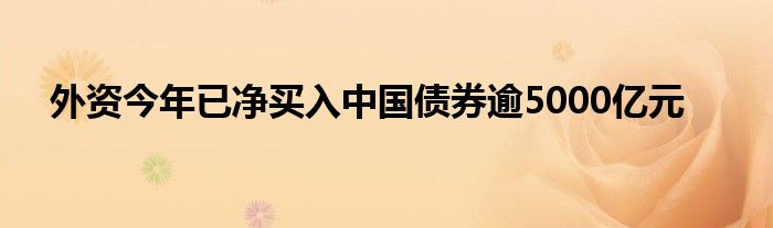 外资今年已净买入中国债券逾5000亿元