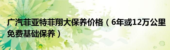 广汽菲亚特菲翔大保养价格（6年或12万公里免费基础保养）