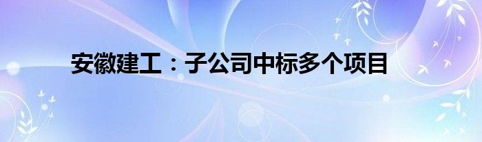 安徽建工：子公司中标多个项目