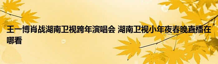 王一博肖战湖南卫视跨年演唱会 湖南卫视小年夜春晚直播在哪看